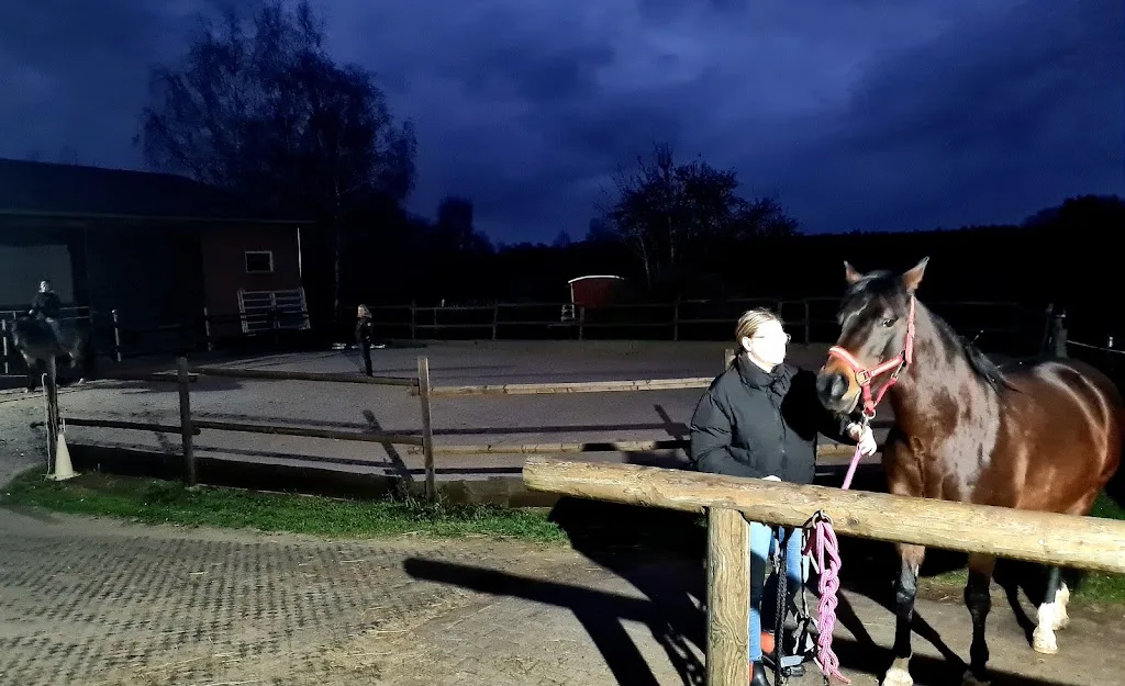 Westernreiten Circle-S-Ranch - Foto 3