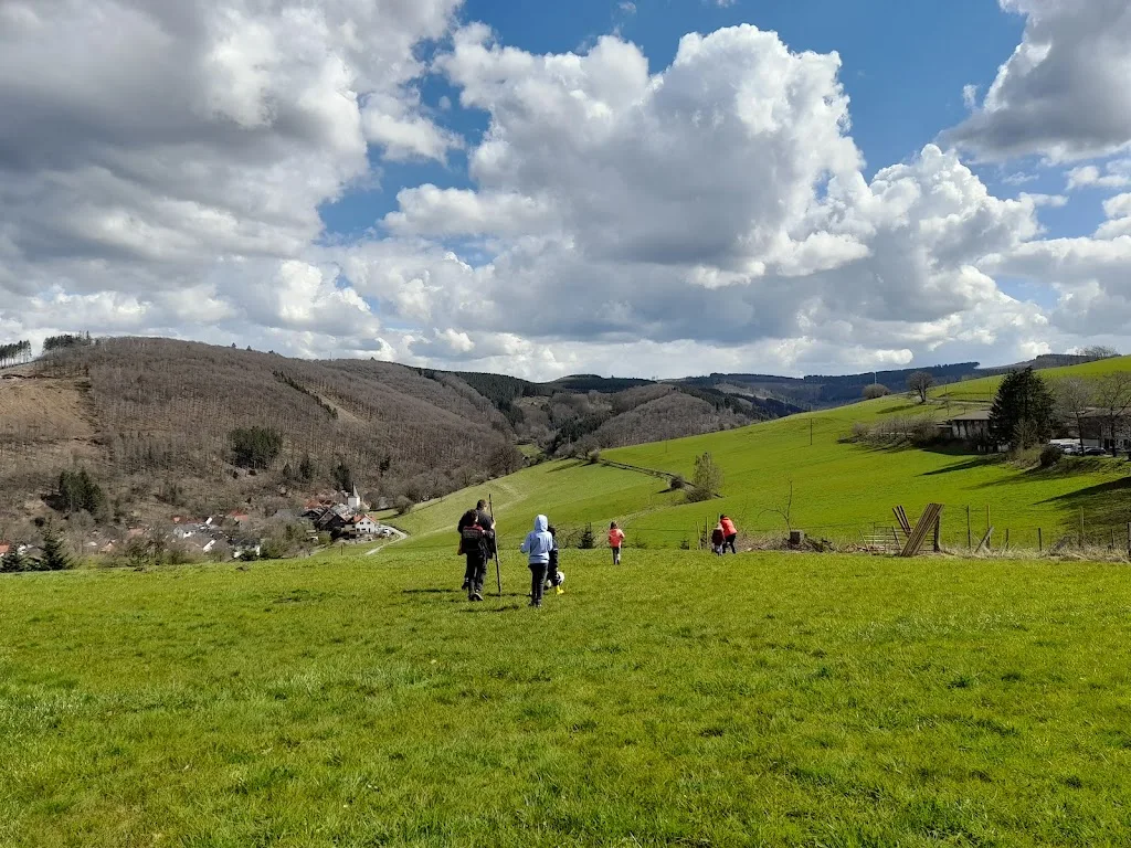 Reitanlage Hof Schulte - Foto 1