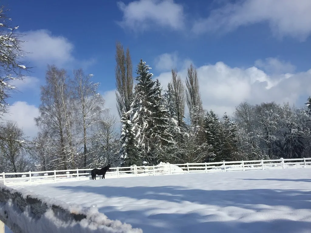 Gestüt Mutzenhof - Foto 3