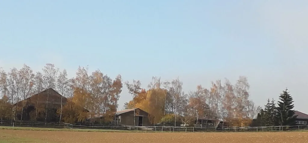 Pferdehof Enzmann - Foto 1