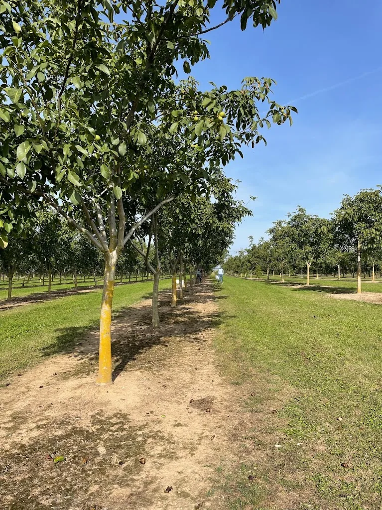 Pferdehof Enzmann - Foto 3