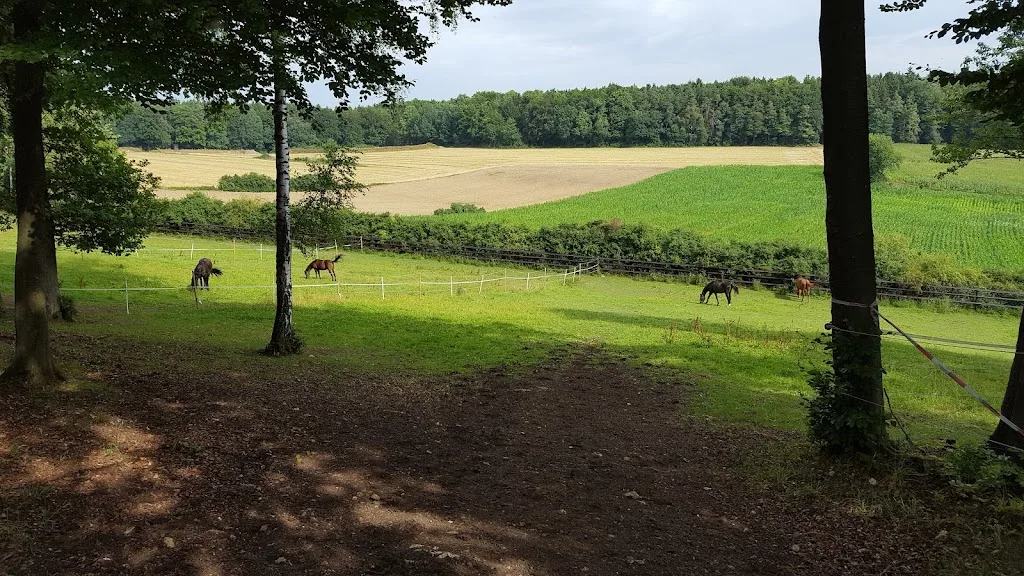 Big Sliders Ranch - Foto 1