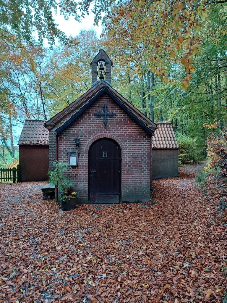 Privatstall Hof Ritzebek - Foto 1