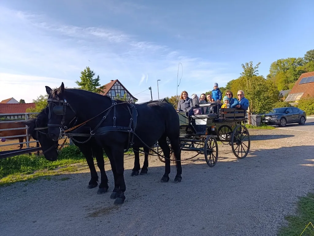 Erika Seelmann Reitbetrieb - photo 2