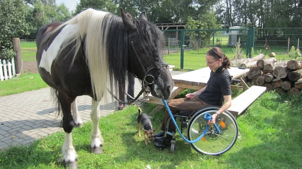 Reittherapie Celle - Foto 2