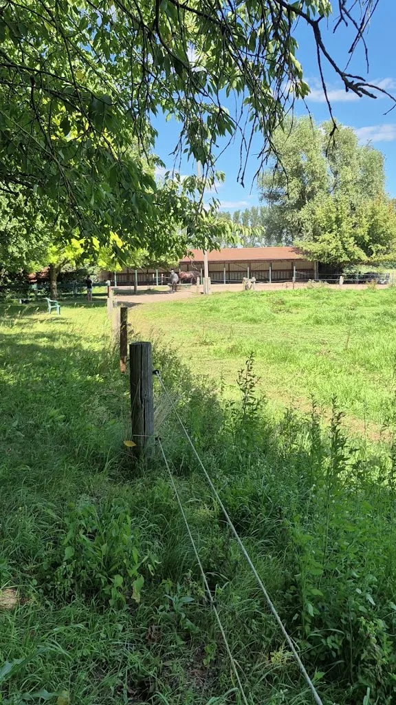 Ponyhof Neuholland Kinderferien GmbH - Foto 1