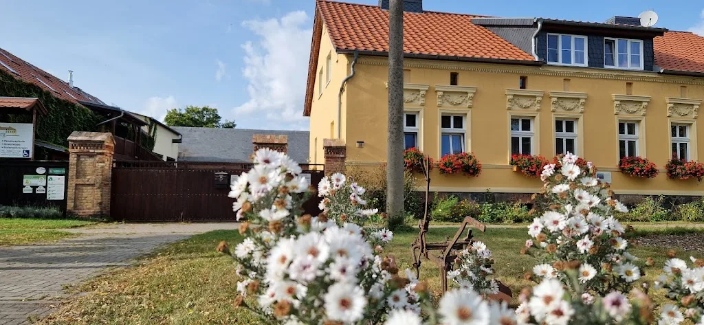 Ponyhof Neuholland Kinderferien GmbH - Foto 2
