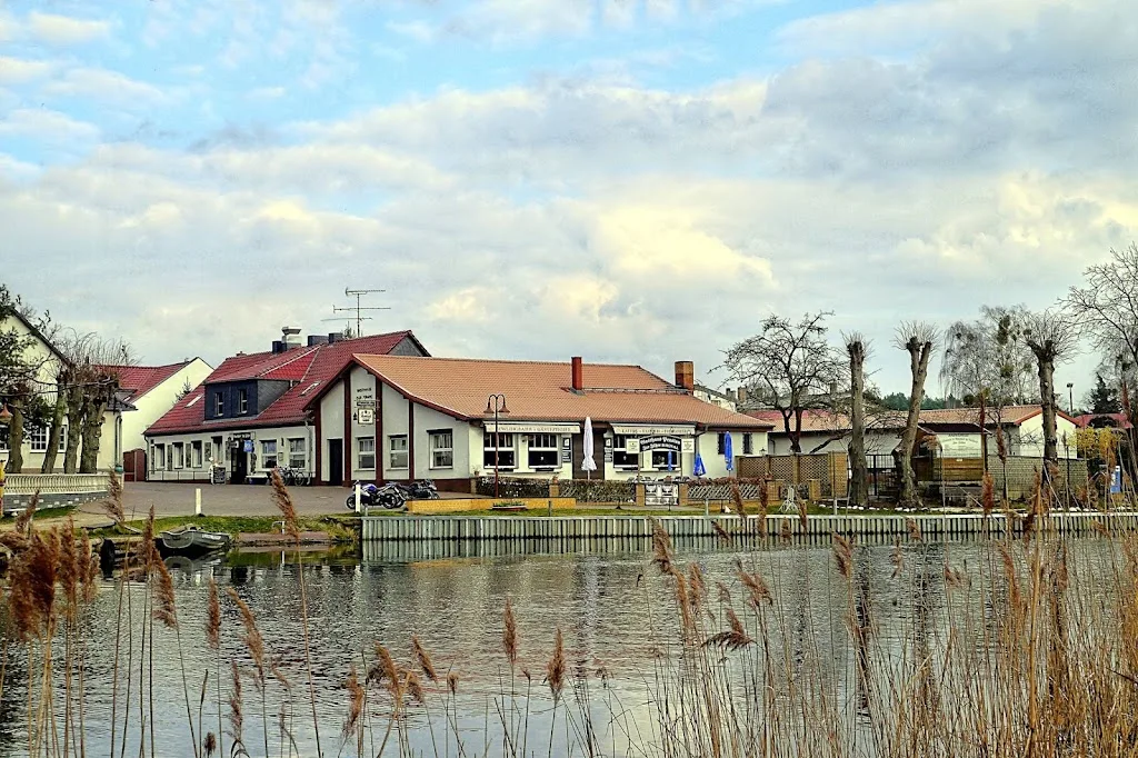 Reiterhof und Pferdepension Steindamm - Foto 3