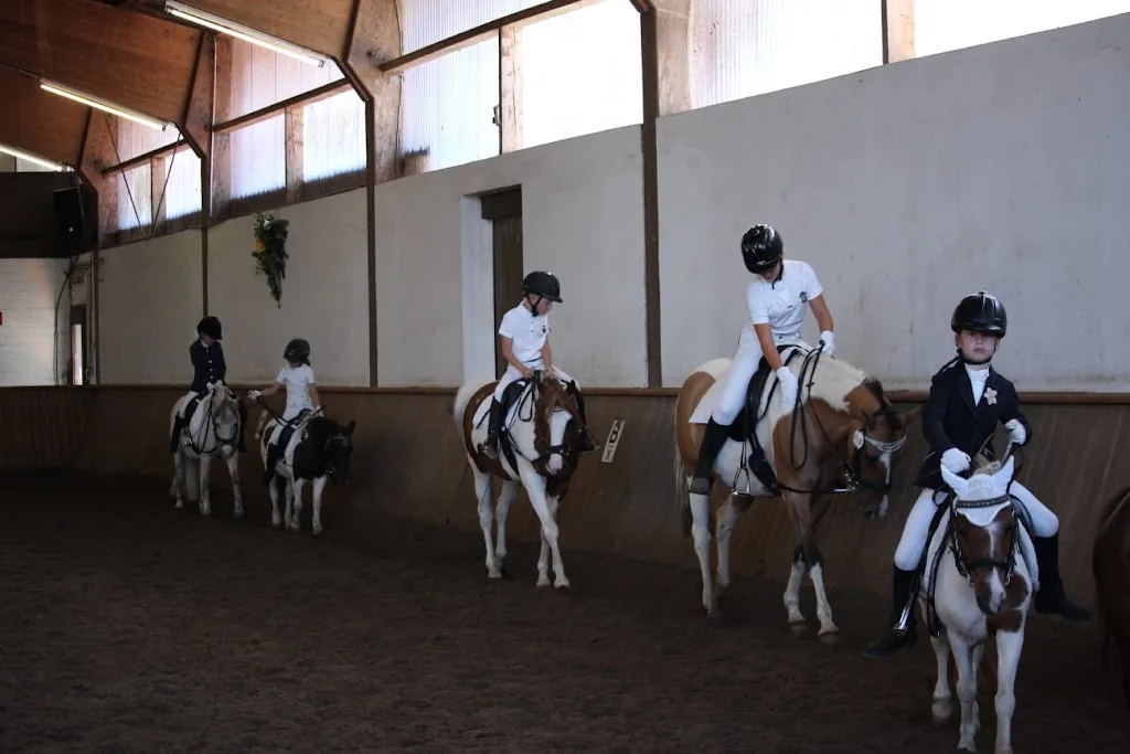 Reitbetrieb Walter & Florian Lutter GmbH - Foto 1