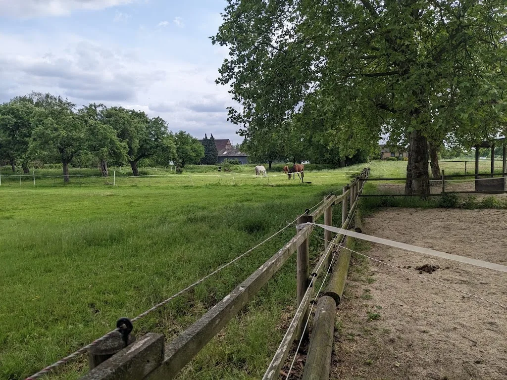 Casa Adelante (Inh.: S. Wübbeke) - Foto 2