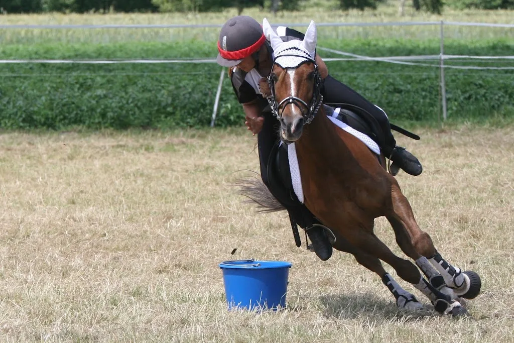Ponyhof Wolteritz - photo 2