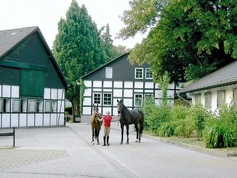 Gut Römerhof - photo 1