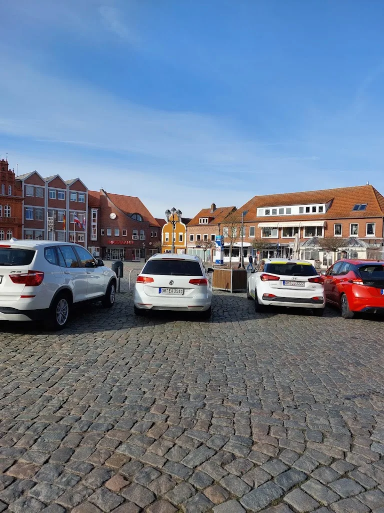 Osteopathie für Pferde - Foto 2
