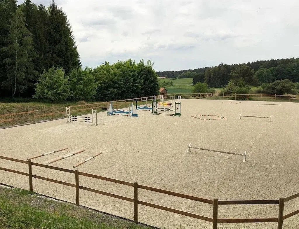 Gestüt Vogt - Christine VOGT - Wörleinshof - Foto 1