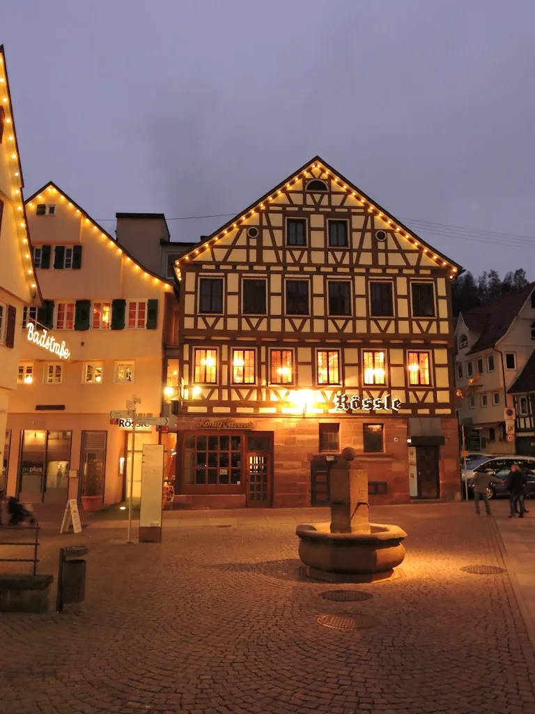 Schwarzwald-Sportzentrum Neubulach, STS Sport- und Tagungsservice GmbH - Foto 1