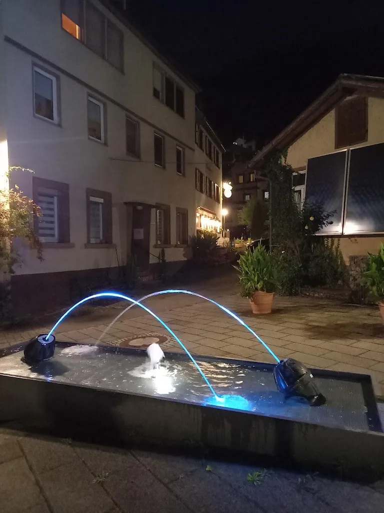 Schwarzwald-Sportzentrum Neubulach, STS Sport- und Tagungsservice GmbH - Foto 3