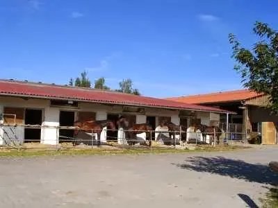 Heigele Harzerhof - Reitstall, Pferdehof - Foto 3