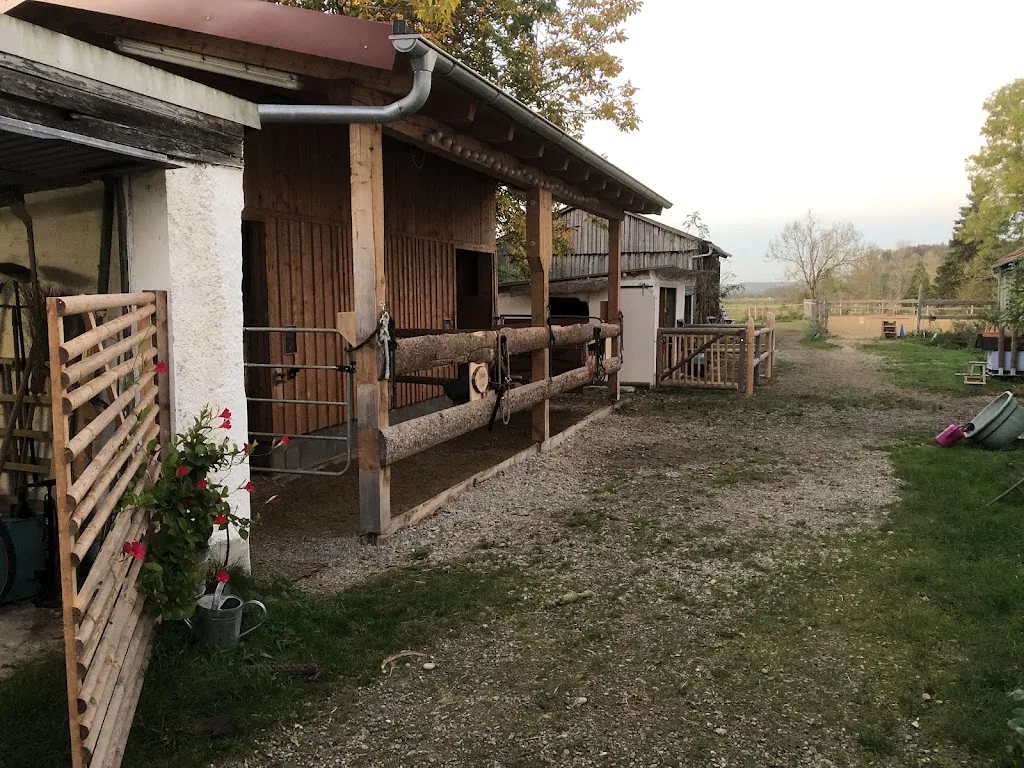 Bruns-Andalusier - Foto 2