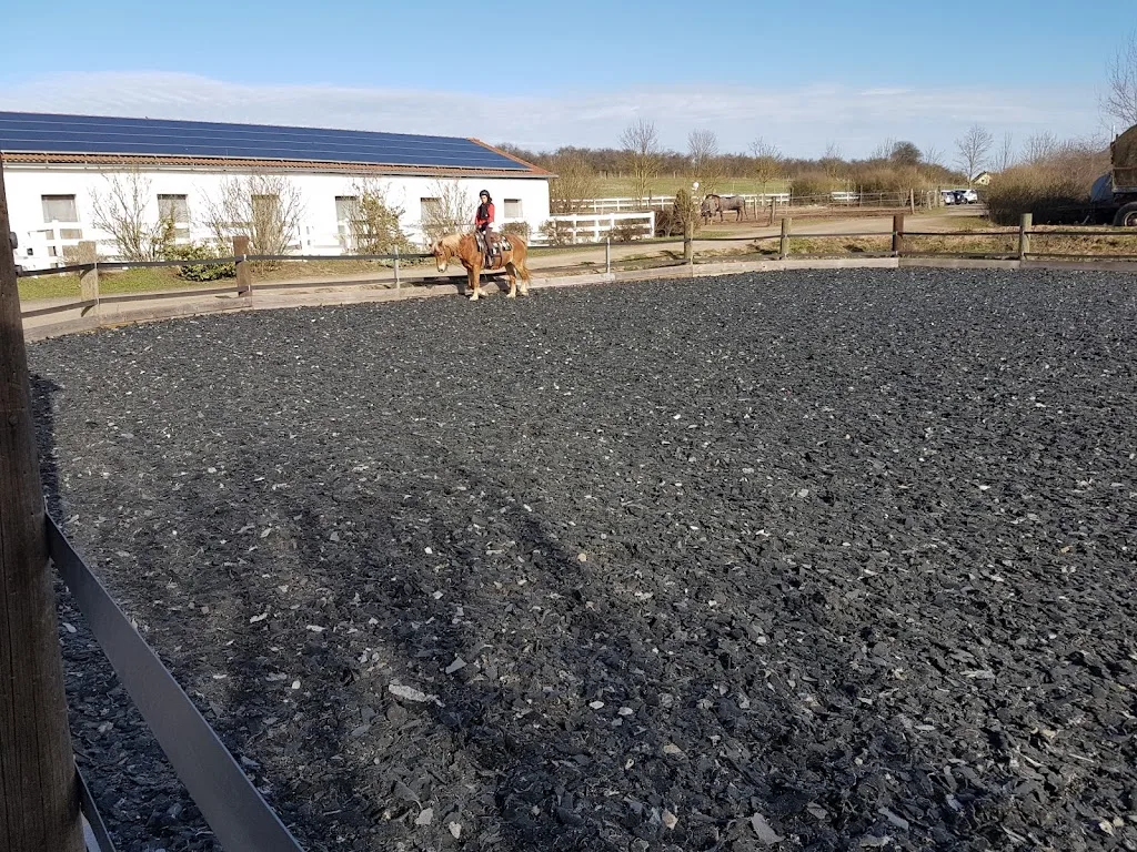 Steigerwald Ranch - Foto 1