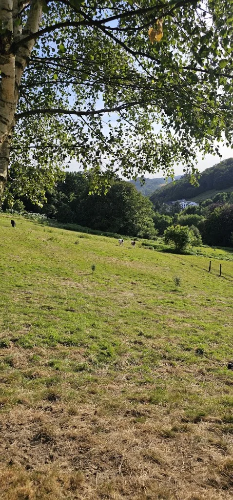Reitanlage Scheidtmann - photo 2