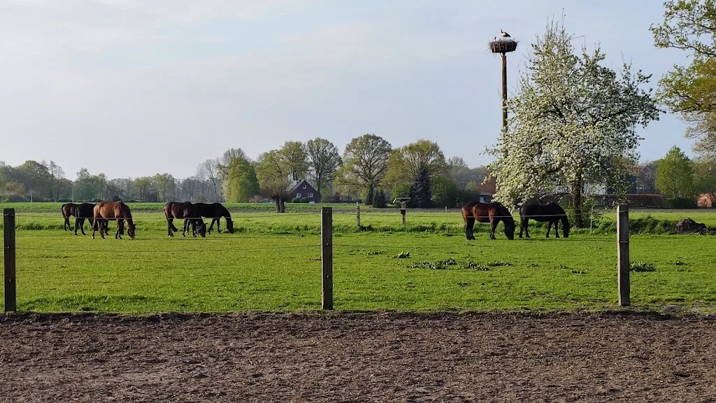 Hof Rempe - Foto 2