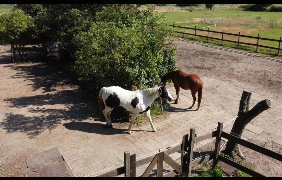 Wittmoor Ranch - Foto 2