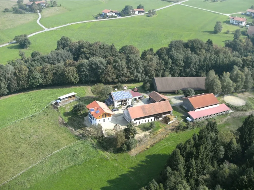 Pferde- & Rinderhof Kalteneck - Foto 1