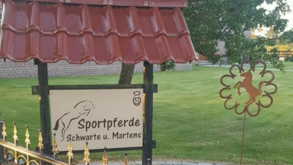 Zucht & Verkaufsstall Anja Martens - Foto 3