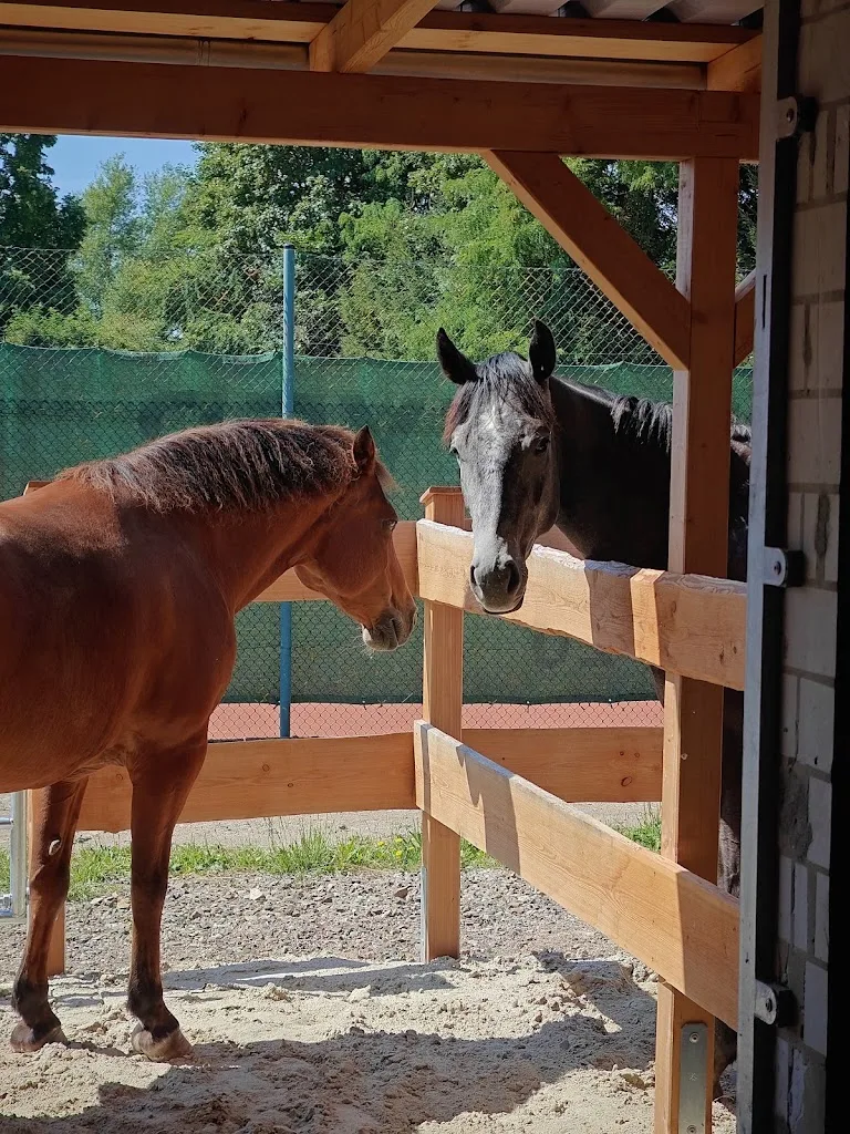 Westernreiten K&K - photo 2