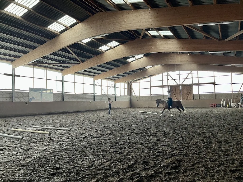 Horse Hoof Motion GmbH - Foto 2