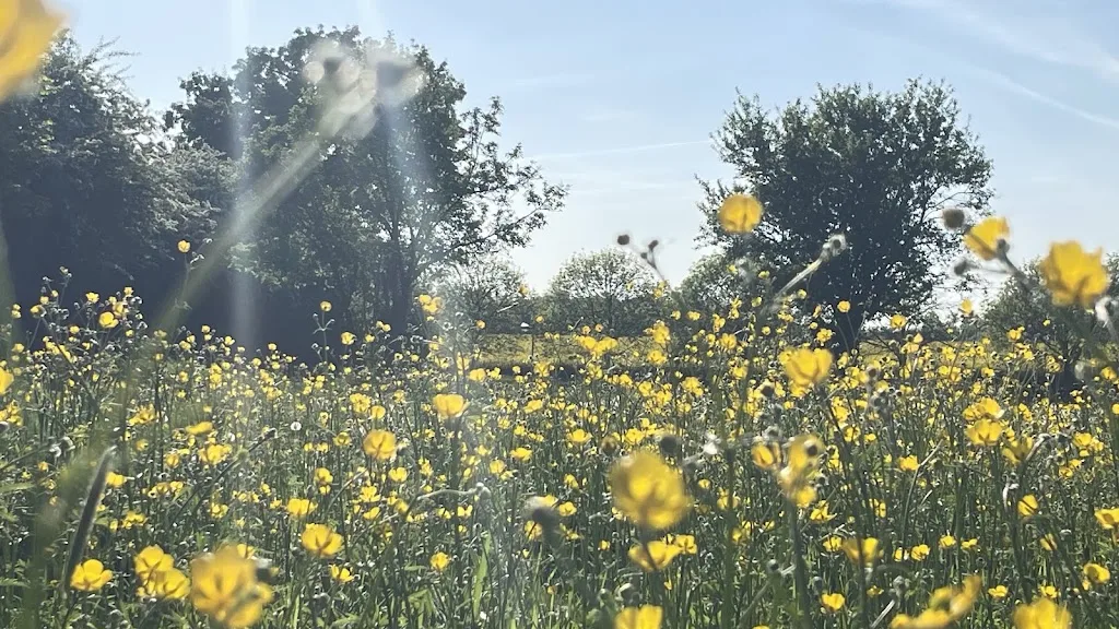 Koljas Ponyhof - Foto 1