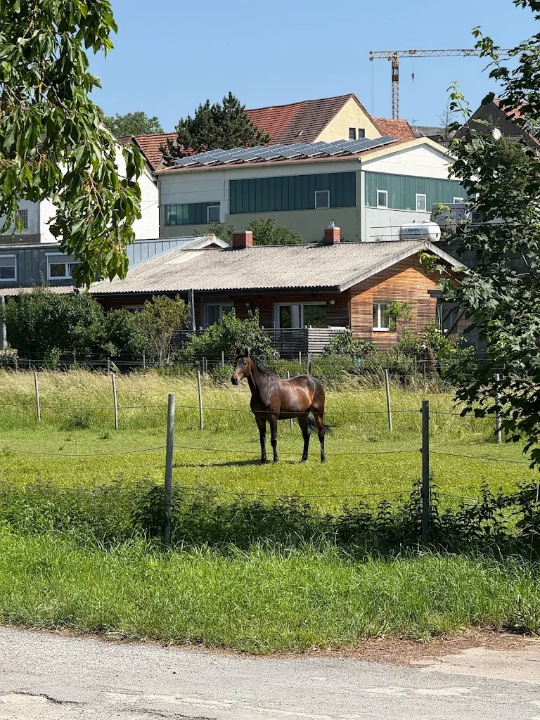 Pferdehof Konrad - photo 3