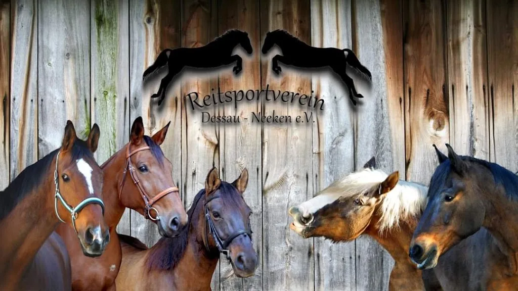 Reitsportverein Dessau-Neeken e.V. - photo 1