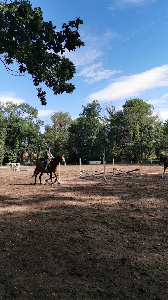Reitsportverein Dessau-Neeken e.V. - photo 2