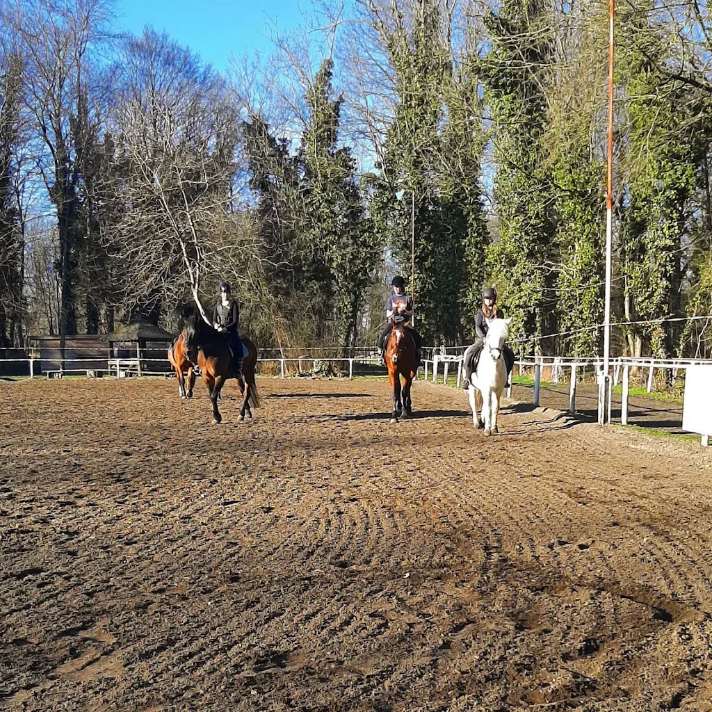 Reitsportverein Dessau-Neeken e.V. - photo 3