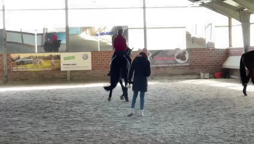 Reitanlage Matthiesen - Foto 3