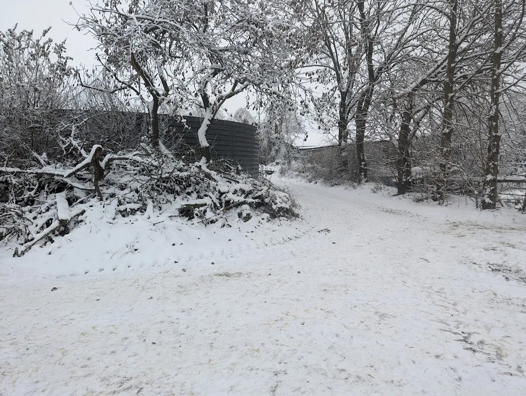 Pferdehof Göttsche-Götze - Foto 2