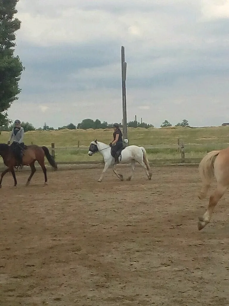 Reitanlage am Esserhof - Foto 2