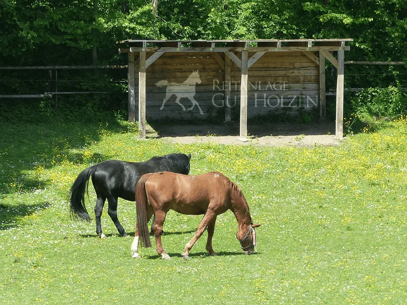 Familie Ernst Hintermaierhof - Foto 1