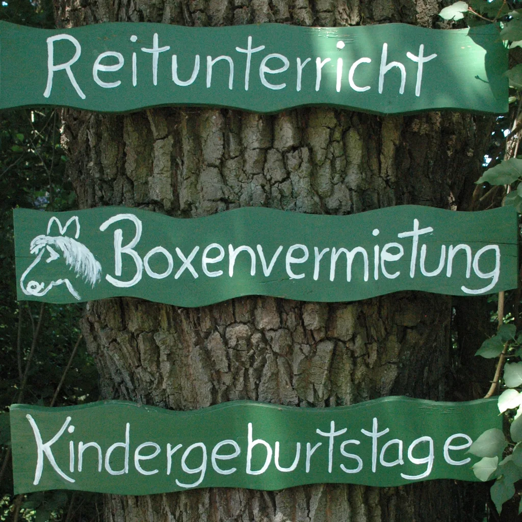 Reiterhof Hopp auf dem Eekhoff - photo 2