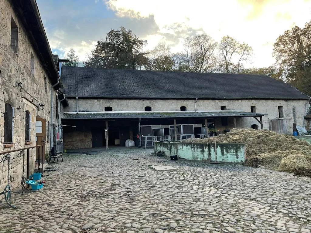 VD Pferdestall Halberstadt - photo 1