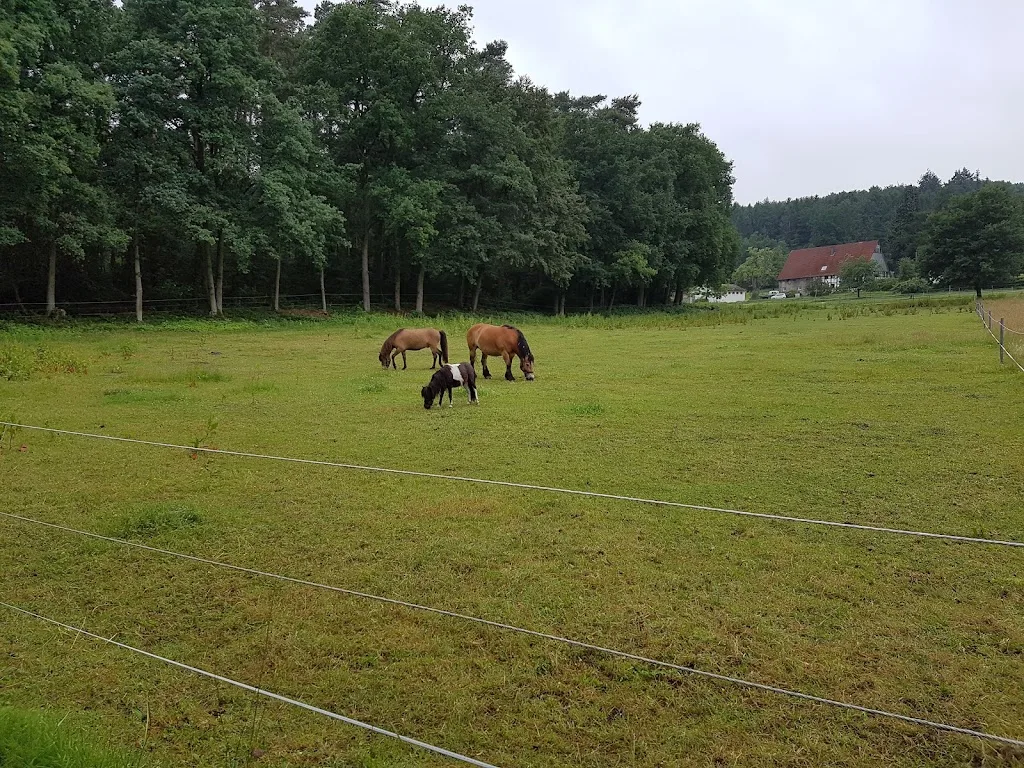 Reiterhof Wrobel - photo 2