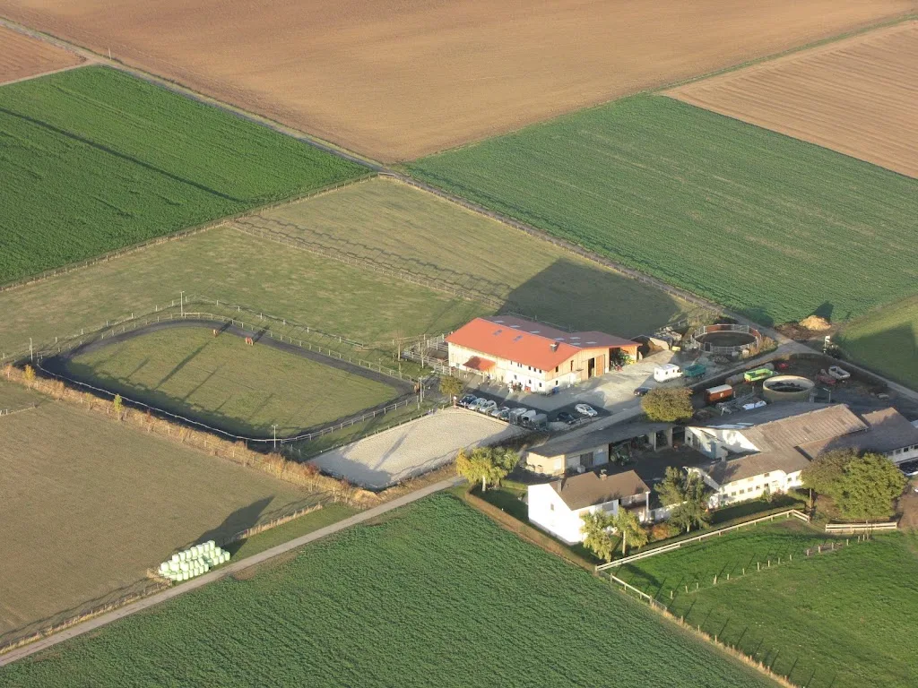Soley Islandpferde Reitschule - Foto 2