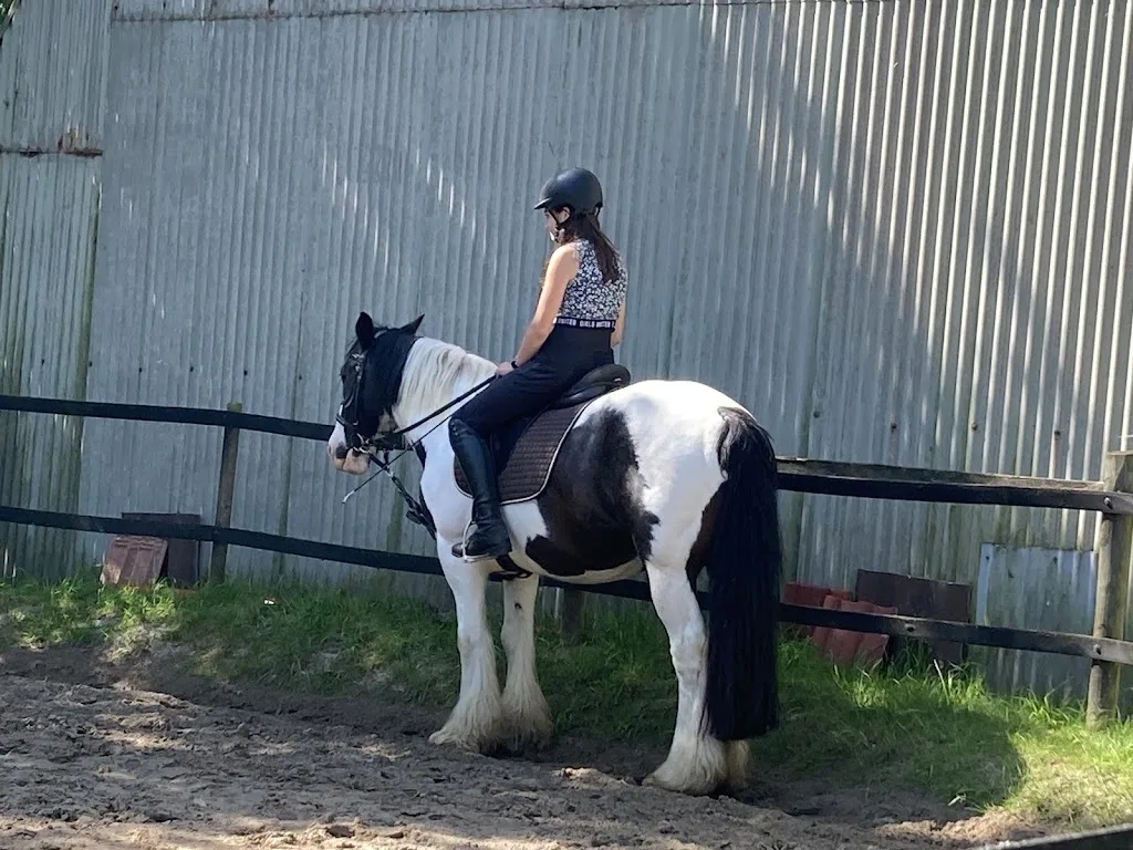 Reitschule Holthusen - photo 2