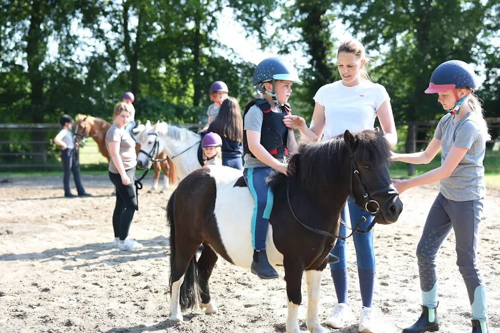 Reitschule Holthusen - photo 3