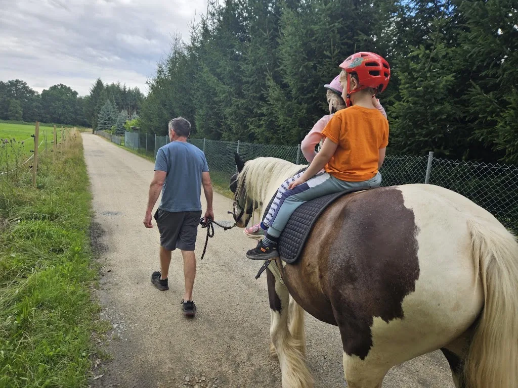Rassekatzenzucht / Pferdehof Fam. Rocho - Foto 1