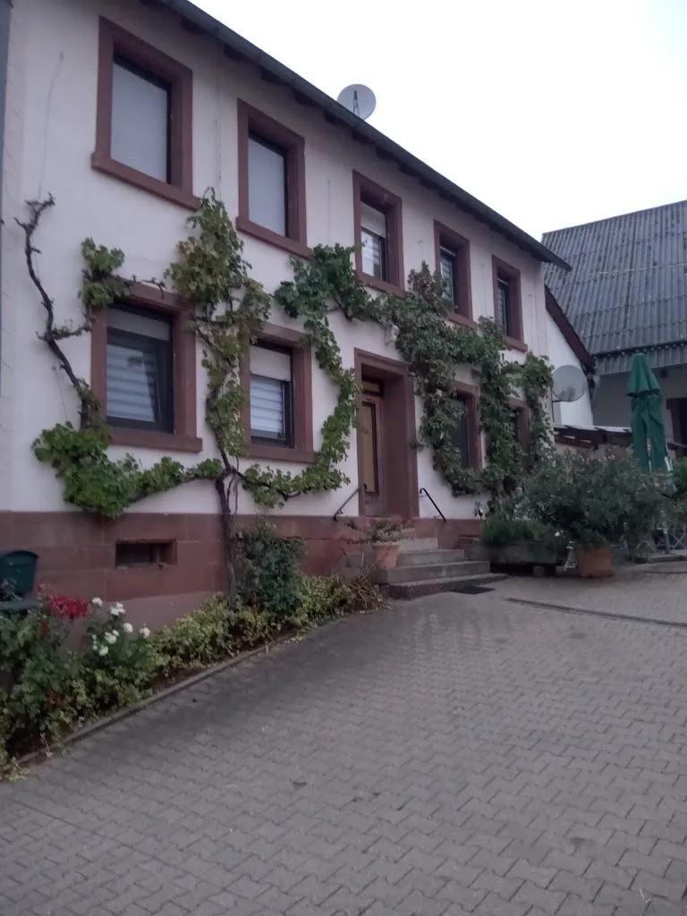 Zucht- und Ausbildungsstall Rubly - photo 2