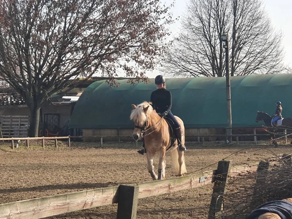 Easy Horse Farm - Reitschule und Reittherapie, Inh. Bianca Braun - photo 2
