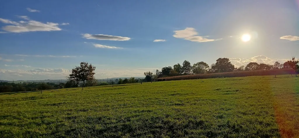 Pferdehof Riehs - Foto 1