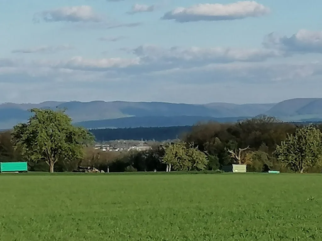 Pferdehof Riehs - Foto 2